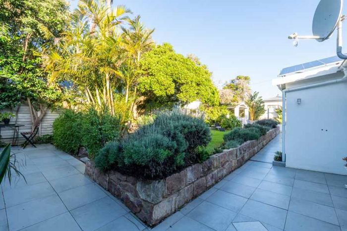 Sunny courtyard with succulents and palms